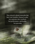 Load image into Gallery viewer, 🌕 The Intutive Woman Retreat