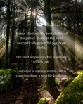 Load image into Gallery viewer, mt shasta magic gathering