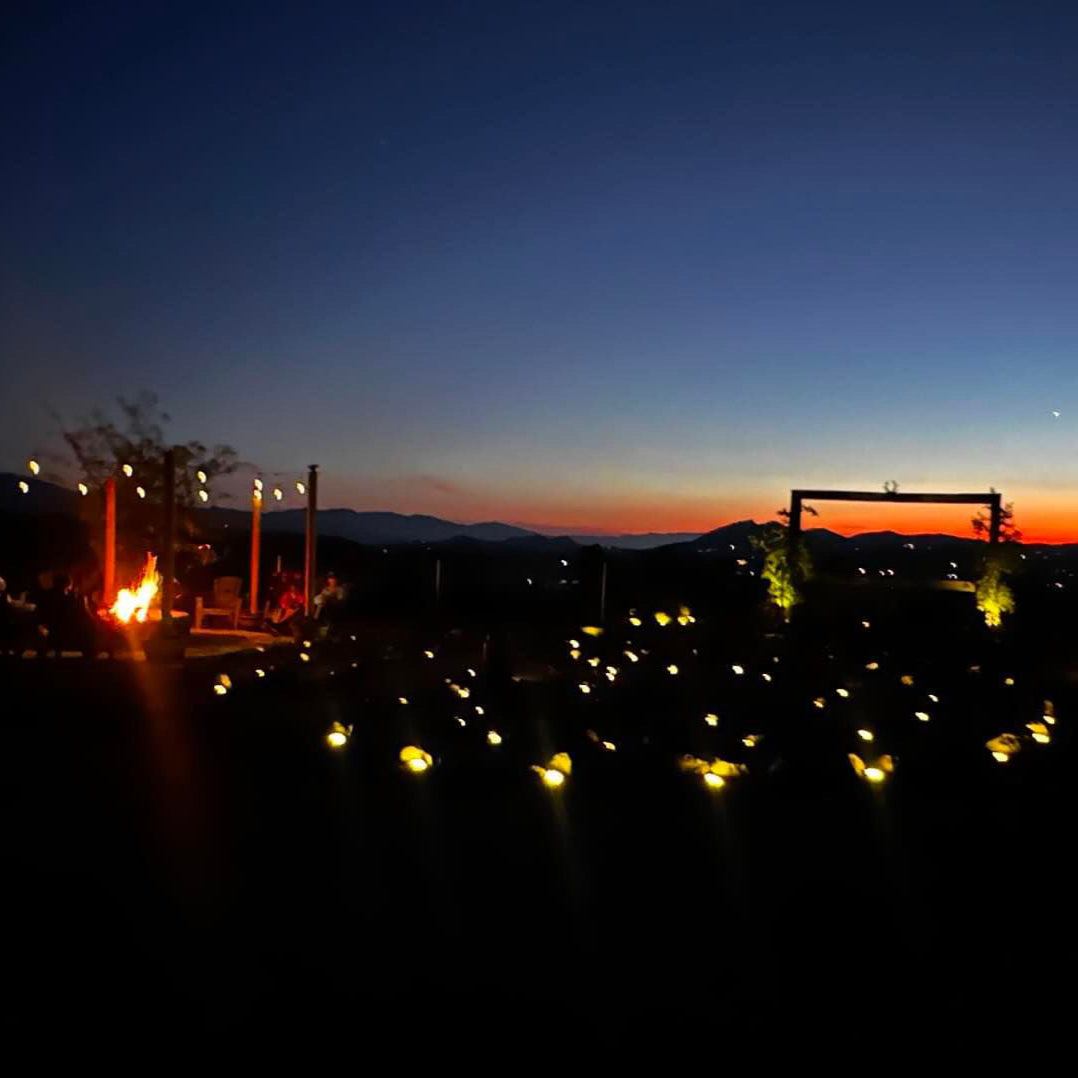 🌕 FULL MOON ILLUMINATION: A Sacred Sound & Creative Journey